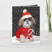 De Kaarten van de Groeten van het Seizoen van de (Voorkant)