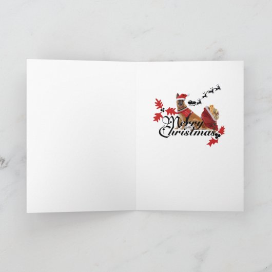 DE KAARTEN VAN DE HOND VAN DE DIENST VAN DE (Binnen)