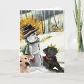 De kaarten van de Laboratoria van de Scène w van (Voorkant)