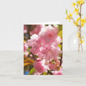 De Kaarten van de Nota van de Bloesem van de kers (Gele Bloem)
