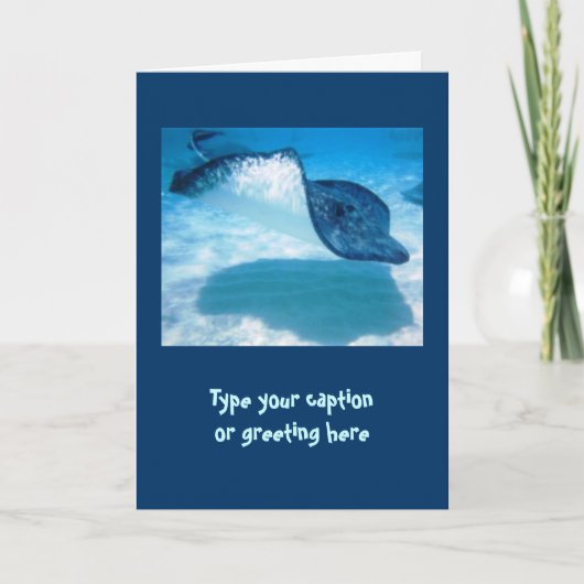 De Kaarten van de Nota van de pijlstaartrog (Voorkant)