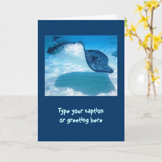 De Kaarten van de Nota van de pijlstaartrog (Gele Bloem)