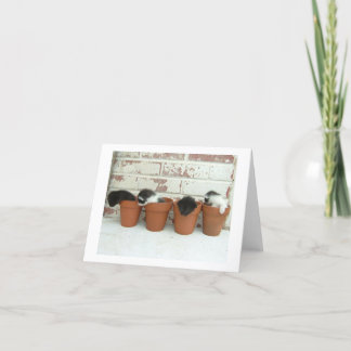 De Kaarten van de Nota van de Potten van het kat