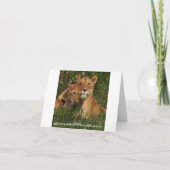 De Kaarten van de Nota van de Welpen van de leeuw (Achterkant)