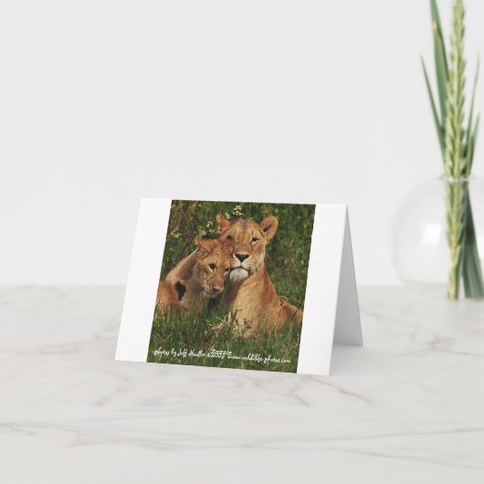 De Kaarten van de Nota van de Welpen van de leeuw (Achterkant)