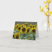 De Kaarten   van de Nota van de zonnebloem (Gele Bloem)