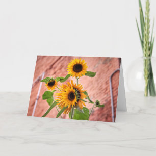 De Kaarten van de Nota van de Zonnebloemen van de