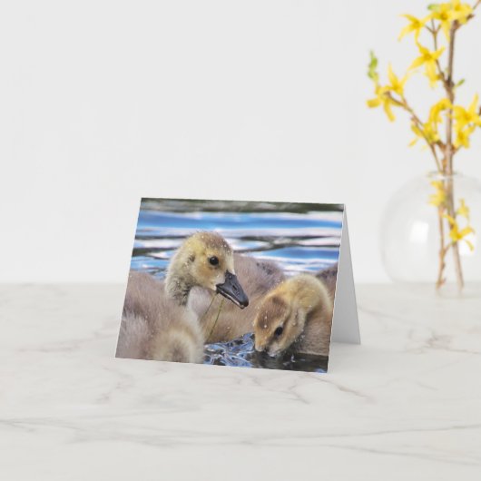 De Kaarten van de Nota van gansjes (Gele Bloem)