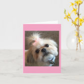 De Kaarten van de nota/Verbazende Gunst & Glorie (Gele Bloem)