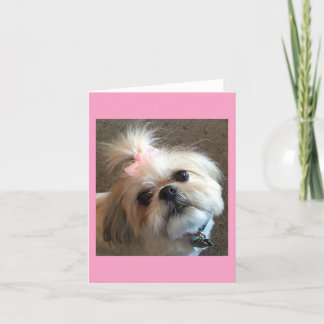 De Kaarten van de nota/Verbazende Gunst & Glorie