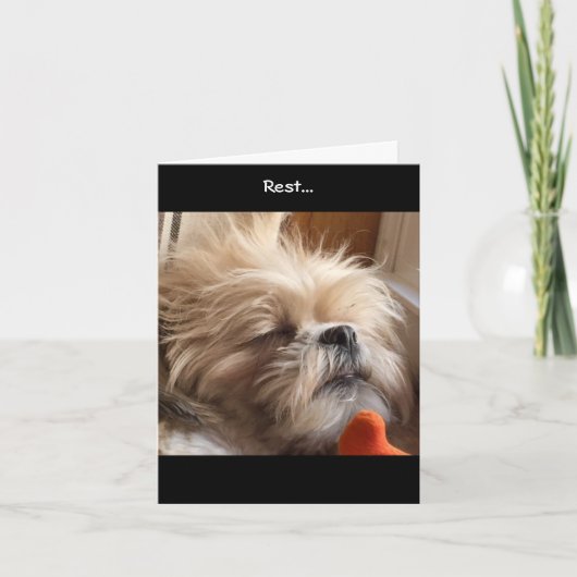 De Kaarten van de nota/Verbazende Gunst & Glorie (Voorkant)