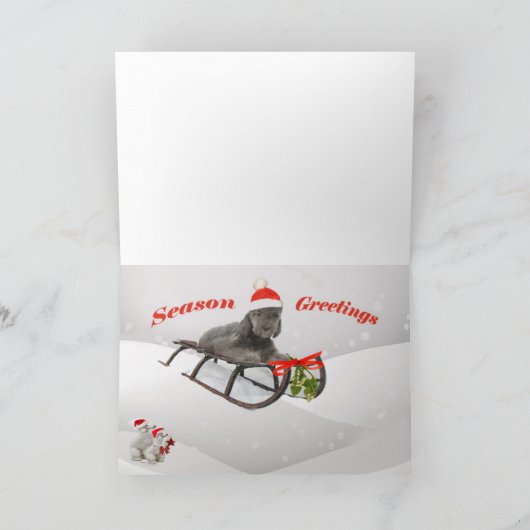 De Kaarten van de Pret van de Dag van Kerstmis van (Binnen)