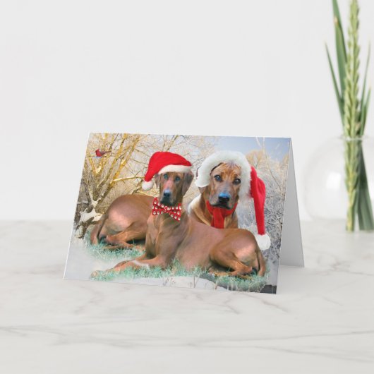 De kaarten van de Scène van Kerstmis van Ridgeback (Voorkant)