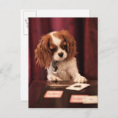 De Kaarten van de Spelen van het puppy (Voorkant / Achterkant)