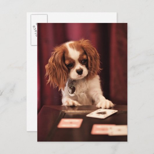 De Kaarten van de Spelen van het puppy (Voorkant / Achterkant)