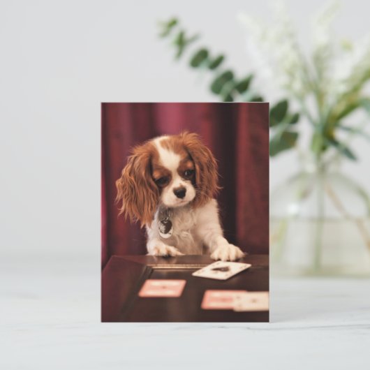 De Kaarten van de Spelen van het puppy (Staand voorkant)