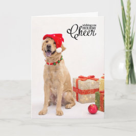 De Kaarten van de vakantie