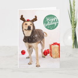 De Kaarten van de vakantie