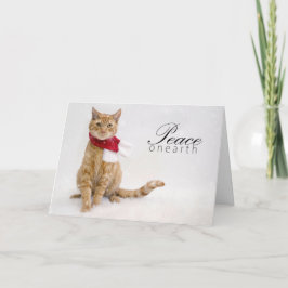 De Kaarten van de Vakantie van de liefdadigheid