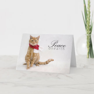 De Kaarten van de Vakantie van de liefdadigheid