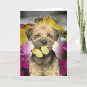 De Kaarten van het Mamma van Terrier van de grens