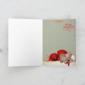 De Kaarten van het Riet van het Snoep van het (Binnen)