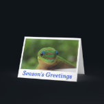 De Kaarten van het Wild van de Vakantie van de<br><div class="desc">De wenskaarten van de de groetenvakantie van het seizoen met een leuke groene die gekkokaart, in Hawaï wordt gefotografeerd. De passende port is beschikbaar.</div>