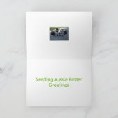 De Kaarten van Pasen (Binnen)