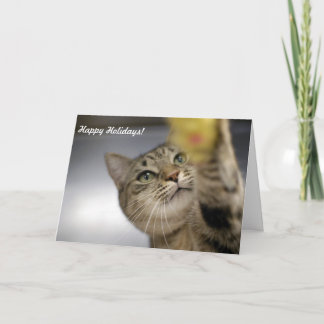 De Kaarten "Vrede, Vreugde, Hoop " van de vakantie