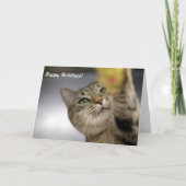 De Kaarten "Vrede, Vreugde, Hoop " van de vakantie (Voorkant)