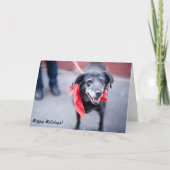 De Kaarten "Warme vakantiewensen " van de vakantie (Voorkant)