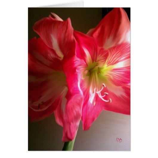 De kaartjes voor cadeaus (Voorkant)