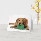 De Kabouter van het golden retriever Kaart (Gele Bloem)
