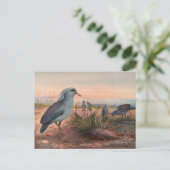 De Kagu door Joseph Wolf Briefkaart (Staand voorkant)