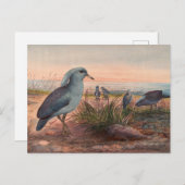 De Kagu door Joseph Wolf Briefkaart (Voorkant / Achterkant)