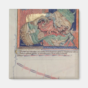 De kaken van de hel slikken van de rode draak magneet