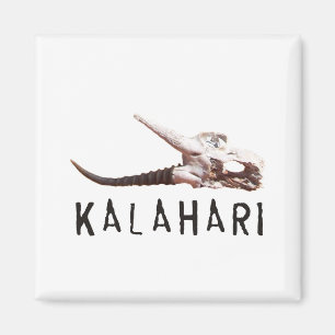 De Kalahari-woestijn in Afrika: dode antilope sche Magneet