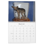DE KALENDAR VAN TWINKIE KALENDER (Mar 2027)
