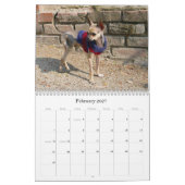 DE KALENDAR VAN TWINKIE KALENDER (Feb 2027)