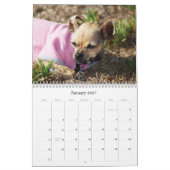 DE KALENDAR VAN TWINKIE KALENDER (Jan 2027)