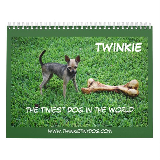 DE KALENDAR VAN TWINKIE KALENDER (Hoes)