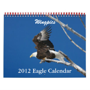 De Kalender 2012 van Eagle van Wingpics