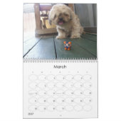 De kalender van Clay Pal (Mar 2027)