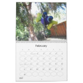 De kalender van Clay Pal (Feb 2027)
