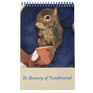 De kalender van de amarant
