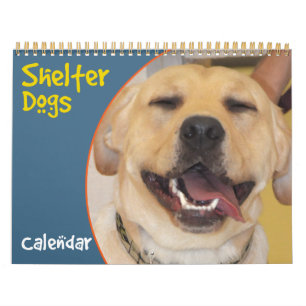 De Kalender van de Honden van de schuilplaats