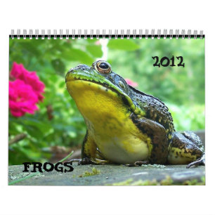 De Kalender van de kikker