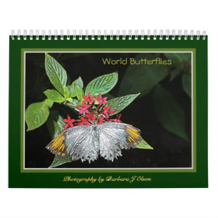 * De Kalender van de Muur van 2019 Vlinders van de