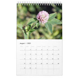 De Kalender van de Muur van de Fotografie van de