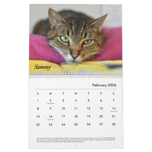 De kalender van de Plaats van de tablet (Feb 2026)